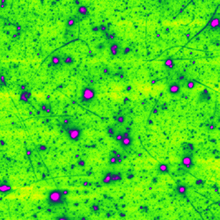 Carbon nanotube network device coated with poly(ethylene imine) and starch polymer layer for detection of CO2 gas