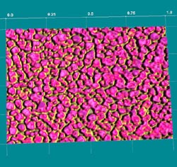 ScienceGL - ZnO Luminescent grains