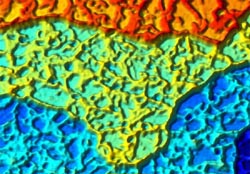 Weiss Group - Self-Assembled Monolayers - Vapor Phase Annealing