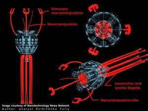 Svidinenko Yuriy - Nanorobot Anchor and locomotion subsystem