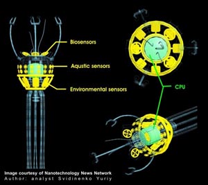 Svidinenko Yuriy - Nanorobot Sensor and CPU subsystem