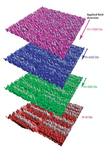 Asylum Research - Variable Field Module for AFM/Magnetic Applications