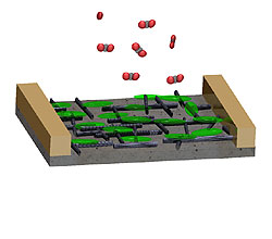 Conceptual illustration of the carbon nanotube network device coated with poly(ethylene imine) and starch polymer layer for detection of CO2 gas