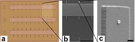 Cornell University - arrays of cantilevers of varying lengths