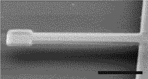 Scanning electron micrograph of a cantilever oscillator 6 micrometers long, , 0.5 micrometers wide and 150 nanometers thick, with a 1 micometer square paddle. Cornell