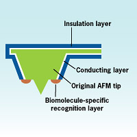 Georgia Institute of Technology - modular system that combines chemical and biological sensing tools capable of providing simultaneous, nano-level resolution information on cell topography and biological activity