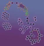 UCSB - Schematics of higher-order assembly of nanometer-scale microtubules.