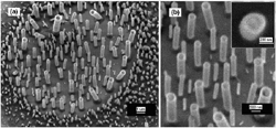 PSU Nanofiber Fabrication Technique