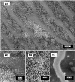 PSU Nanofiber Fabrication Technique