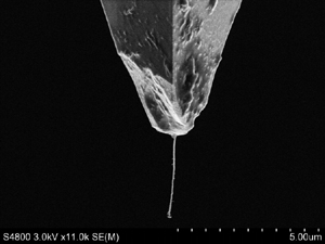 Purdue University - Raman Nanotubes