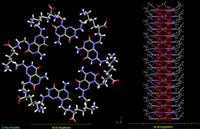 Purdue Thomas Webster self-assembly of rosette-shaped rings