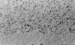 UWM block copolymers