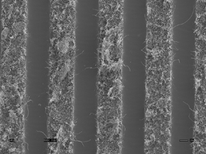 Purdue University - arrays of nanofibers