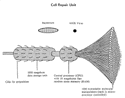 cell repair machine