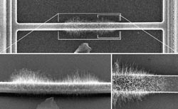 carbon nanowire UCB