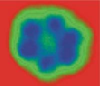 The "smallest particle of ice " -- a water hexamer as seen by STM (about 1 nanometer wide, left) and quantum mechanics (right).

Credit: London Centre for Nanotechnology, 2007