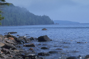 Fresh water ecosystems in Ontario are of immense value, economically, environmentally and socially. Linda Campbell (Environmental Studies)  is working to create strategies to reduce negative impacts from non-indigenous species in Ontario Lakes.