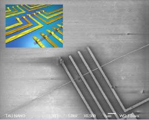 Photo and illustration (inset) of carbon nanotube circuits. (Courtesy of Ze'ev Abrams and Yael Hanein, Tel-Aviv University, Israel)