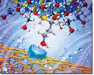 An artist's representation of an amine functional group attached to an AFM tip approaching a carbon nanotube surface in toluene solution. Translucent blue shape on the nanotube represents the polarization charge forming on the nanotube as the result of the interaction with the approaching molecule. Chemical force microscopy measures the tiny forces generated by this single functional group interaction. (Illustration by Scott Dougherty, LLNL)   