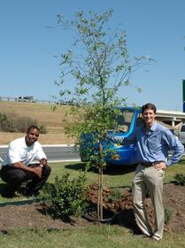 ZAP electric car dealer Tito Norris (right) held a tree-planting ceremony with manager Nathaniel Mack to mark the grand opening of their new dealership in San Antonio, Texas. They delivered the tree in a ZAP pickup to make a statement about two of the best ways to fight global warming.