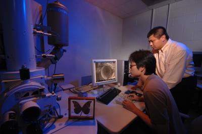 
Moth Eyes

Stanley Chih-Hung Sun (left), a University of Florida chemical engineering doctoral student, and Peng Jiang, an assistant professor of chemical engineering, take images of a moth eye with a powerful scanning electron microscope. The researchers are mimicking the microscopic structure of moth eyes and cicada wings to create new anti-reflective and water-repellant coatings. These coatings could make solar cells both more efficient and self-cleaning, and they may also lead to more transparent windows, more legible computer screens and other improvements to consumer products.

(Photo by Ray Carson/University of Florida) 