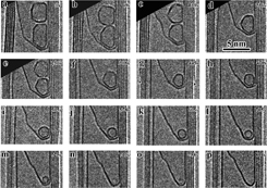 Atomic images of the inside of a nanotube show the formation of fullerenes, their reduction to C-60 buckyballs, and their dispersion when heated beyond that point. The images were taken by a transmission electron microscope.