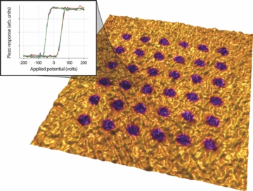 Rendered topography of a LiNbO3 sample with the PFM signal painted on top. Image was taken after switching spectroscopy mapping. Inset shows the hysteresis loops measured at an individual point, 4μm scan.