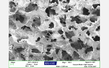 The porous nature of nickel-manganese-gallium alloy gives it "shape-memory" properties. The material lengthens, or strains, up to 10 percent when subjected to a magnetic field. The NSF-funded researchers believe the porous alloy has great potential for uses that require light weight and a large strain, such as space and automotive applications and tiny motion control devices or biomedical pumps with no moving parts.

Credit: P. Mllner, M. Chmelius and S. Donovan, Boise State University, and D. Dunand and Y. Boonyongmaneerat, Northwestern University.