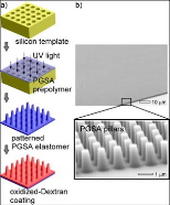 MIT's gecko-inspired medical adhesive consists of a "biorubber" base patterned to have pillars that are less than a micrometer in diameter and three micrometers in height. Layered on top is a thin coating of a sugar-based glue. Tests in live rats suggest that the adhesive could be an effective operating room tool for closing surgical wounds.