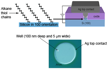 Side and top views of the NIST molecular resistor. Above are schematics showing a cross-section of the full device and a close-up view of the molecular monolayer attached to the CMOS-compatible silicon substrate. Below is a photomicrograph looking down on an assembled resistor indicating the location of the well.

Credit: NIST