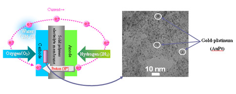 An electron microscope photograph of a gold-platinum (AuPt) catalyst deposited on a conductive carbon support. The dark grey or black areas are the gold-platinum catalysts, and the light grey areas are the carbon support. The gold-platinum catalyst particles are 2 to 3 nanometer in size.