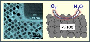  The Making of a Platinum Nanocube On the left is a transmission electron microscopy image of 7 nanometer platinum nanocubes used for oxygen reduction reaction. In the upper right corner of this image is a high resolution picture of a single cube. On the right is an illustration demonstrating the oxygen reduction on a Pt(100) surface of a cube. Credit: Courtesy of Chao Wang/Brown University 