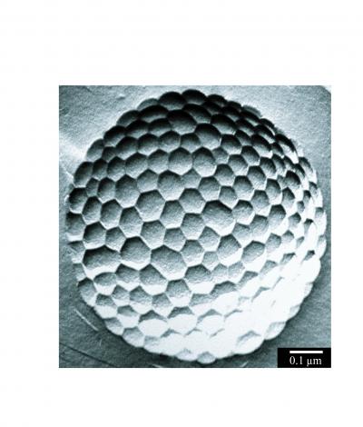 Micrometer-size bubble covered with approximately 50 nm hexagons

Credit: Courtesy of the Howard Stone Lab/Science Magazine

Usage Restrictions: Copyright Science Magazine