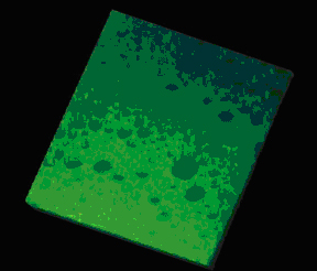  Julie Goyon, LOF, Bordeaux (This image can be obtained from the CNRS photo library, phototheque@cnrs-bellevue.fr).

Cross-section of a dense emulsion, made up of numerous oil droplets of various sizes.