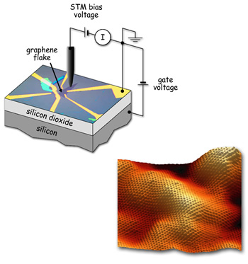 Under the STM tip a flake of graphene 50 microns (millionths of a meter) long rests on a substrate of silicon with a thin layer of silicon dioxide insulation (upper left). The graphene is contacted by gold electrodes, connected to outside experimental equipment and to the underlying silicon electrode, which is used to apply a gate voltage. At lower right, a topographical image of the graphene flake, 10 nanometers (billionths of a meter) across. Variations in height of one or two angstroms (ten-billionths of a meter) are likely caused by the roughness of the substrate.