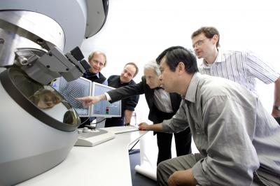 Professor Urban and his staff discuss the atomic structure of an oxide layer of nanoelectronics which is revealed in an electron microscope image. The Ernst Ruska-Centre in Jlich is a joint research platform of excellence operated by Forschungszentrum Juelich and RWTH Aachen University. As a national user center, it provides researchers from science and industry with access to the most powerful electron microscopes currently available. A profound understanding of atomic causes of material properties will provide the basis to tailor materials to specific problems.

Credit: Forschungszentrum Juelich