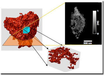 Section and isosurface rendering of a 500-nanometer cube from the interior of the 3D volume. The foam structure shows globular nodes that are interconnected by thin beam-like struts. Approximately 85 percent of the total mass is associated with the nodes, and there is no evidence of a significant fraction of dangling fragments.