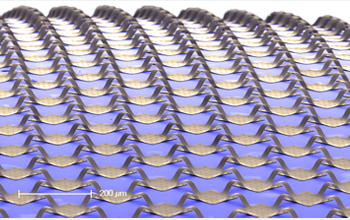 Low magnification scanning electron micrograph of a collection of silicon photodetector pixels and electronics interconnected by arc-shaped ribbons, on a hemispherical substrate. These interconnects bow upward to accommodate the large mechanical strains needed to transform the planar layouts in which the systems are initially fabricated to the hemispherical geometries needed for implementation in the electronic eye. The image is colorized: pixel elements and interconnects appear gold; the substrate appears light blue.

Credit: Beckman Institute, University of Illinois