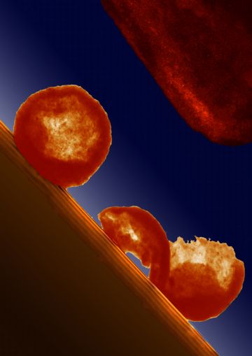 At upper right, a cadmium sulfide nanosphere before stress is applied. The hollow sphere is partly transparent to the electron beam. At lower right, the sphere after being stressed to the point of failure.