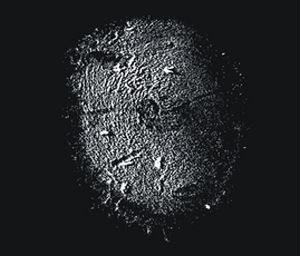 The footprint of the barnacle cyprid larva of approximately 30 micrometre, revealed by an Atomic Force Microscope.