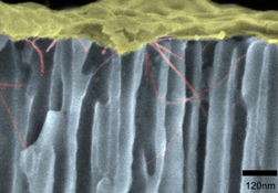 A cross-sectional view of SEM micrographs of assembled SWNTs in anodic alumina array fabricated on Silican