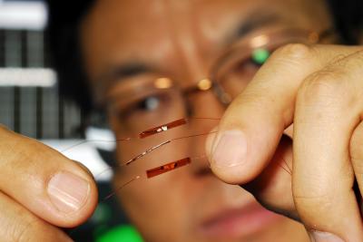 Georgia Tech Professor Zhong Lin Wang holds a prototype flexible charge pump. The device generates alternating current as zinc oxide wires are stretched and then released.

Credit: Georgia Tech Photo: Gary Meek