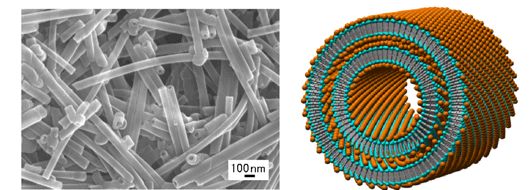 Figure 1 (Left) FE-SEM image of the metal-complex-type organic nanotubes and (Right) their proposed structure. Metal ion is designed as an orange ball, a hydrophilic part of the amphiphile as a light blue ball, and a hydrophobic part of the amphiphile as a gray stick.