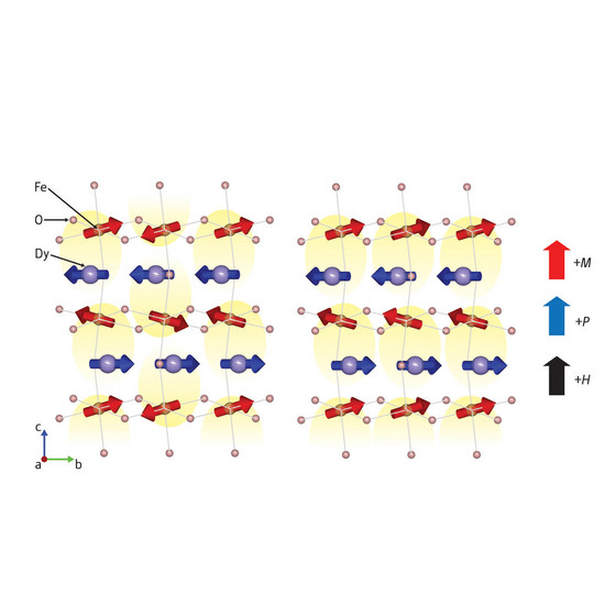 Figure 1: Multiferroic coupling in DyFeO3. In the absence of an external magnetic field, no net electric polarization (yellow areas) occurs: overall the electric polarization averages out. In the presence of a magnetic field H the Fe atoms rearrange their magnetic orientation M, leading to a net electric polarization P. 