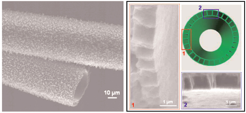 JUMBO TUBES -- a scanning electron microscope image (left) of a huge carbon tube. Images at right depict cross-sectional view of the tube, with rectangular pore tunnels visible in its wall. (photo by Sandi/LANL Center for Integrated Nanotechnologies)
