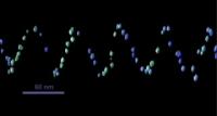 5-nm size gold nanoparticles wrap around the perimeter of a DNA nanotube in a spiral pattern. The 3-D structures have been recreated from cryoelectron tomographic imaging.