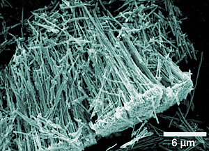 NIST researchers have developed a new technique to form nanotubes for use in gas sensing applications. One hundred to 1,000 times more sensitive than comparable sensors, their device could be used to study biological cell stress and cell communication.

Credit: Artzi-Gerlitz, NIST