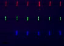 Penn State
These nanowires, tagged with DNA are assembled, and have been exposed to complementary DNA that is tagged with fluorescent dyes.