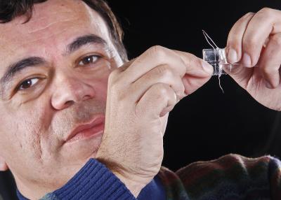 Babak Ziaie, a Purdue associate professor of electrical and computer engineering, demonstrates a new "stretchable" electrode created in research with Stanford University to study how cardiac muscle cells, neurons and other cells react to mechanical stresses from heart attacks, traumatic brain injuries and other diseases. The devices are made by injecting a liquid alloy made of indium and gallium into thin microchannels between two sheets of a plastic polymer.

Credit: Purdue News Service photo/Andrew Hancock