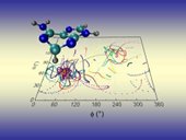 The maxim "speed kills" doesn't always hold true - lightning-fast changes in the energy state of the electrons in 9H-adenine protect DNA from damage caused by UV light.
Photo by Hans Lischka